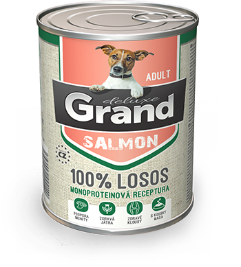 dog salmon