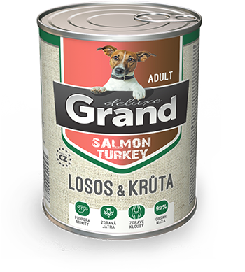 dog salmont