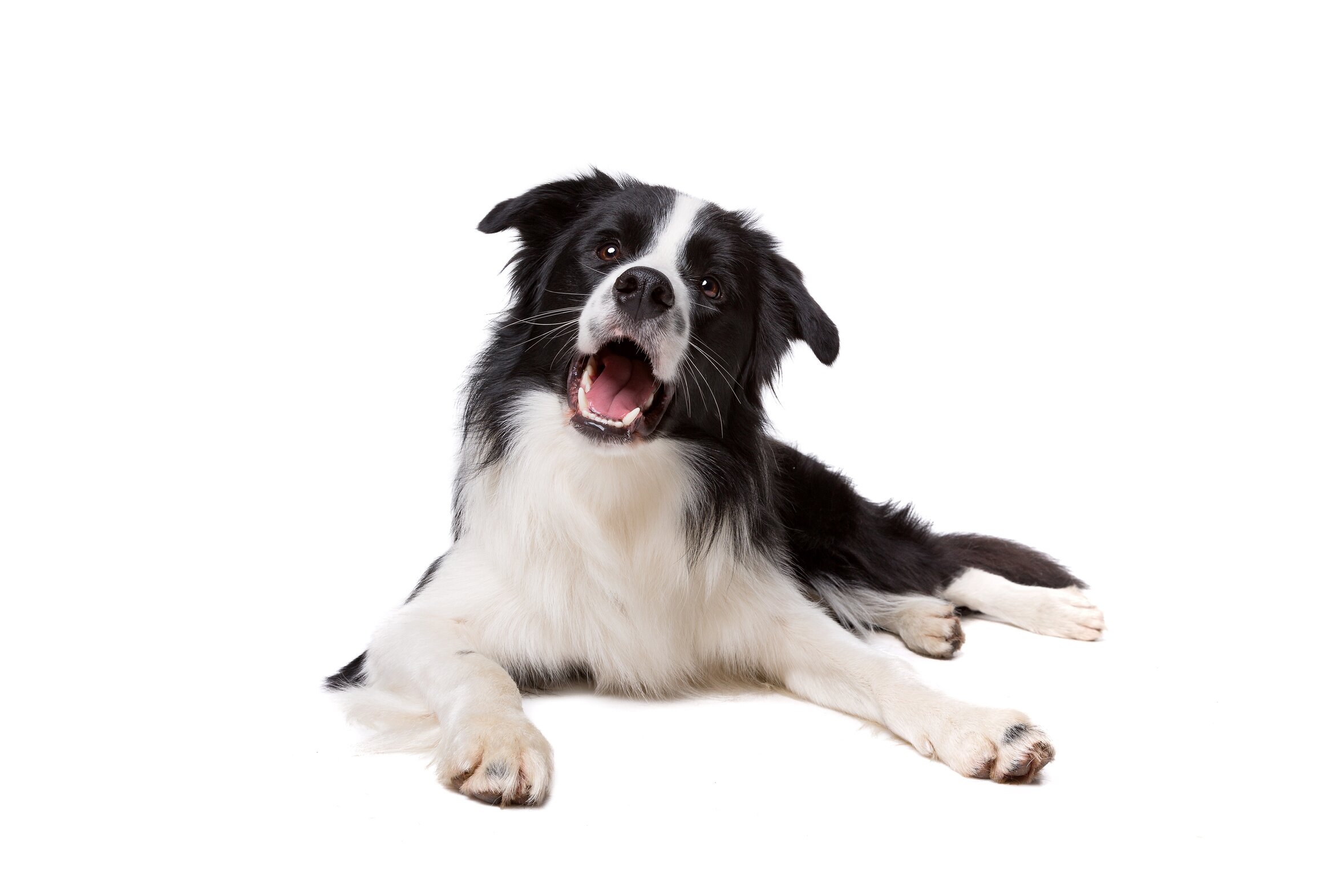 Fotolia 133900175 L