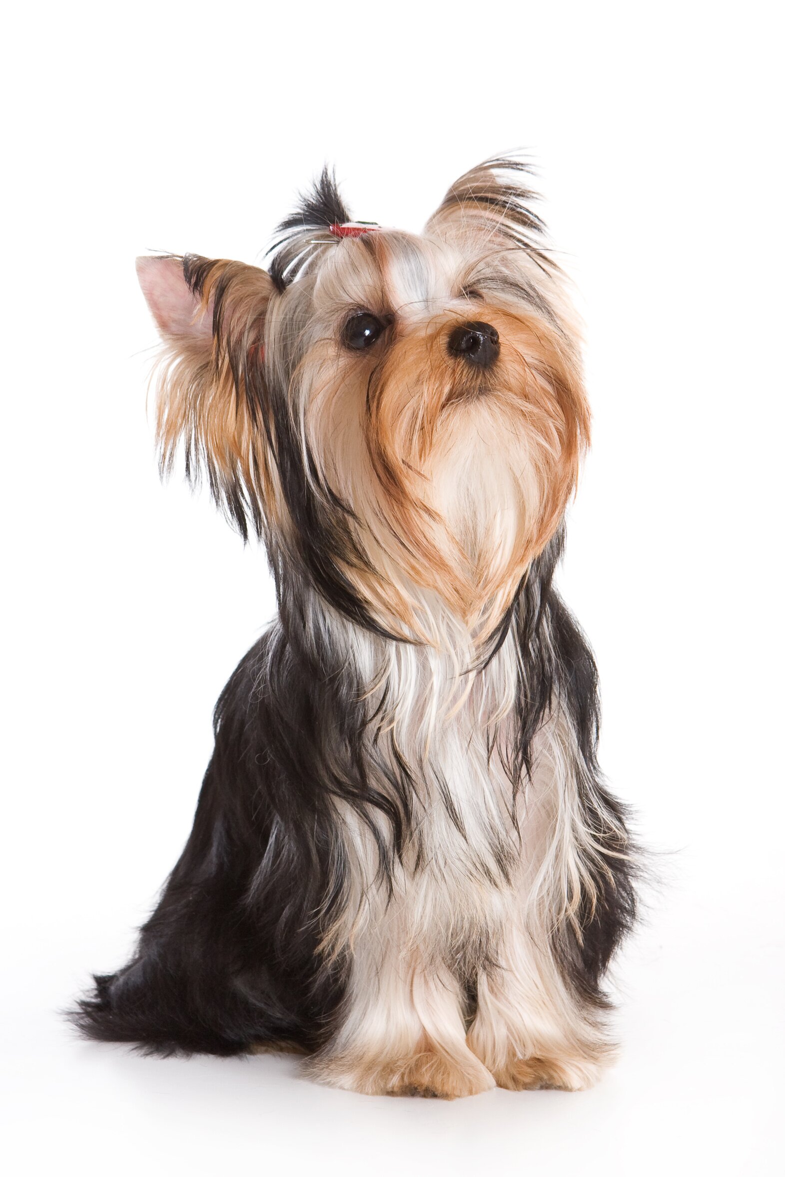 Fotolia 7509416 L