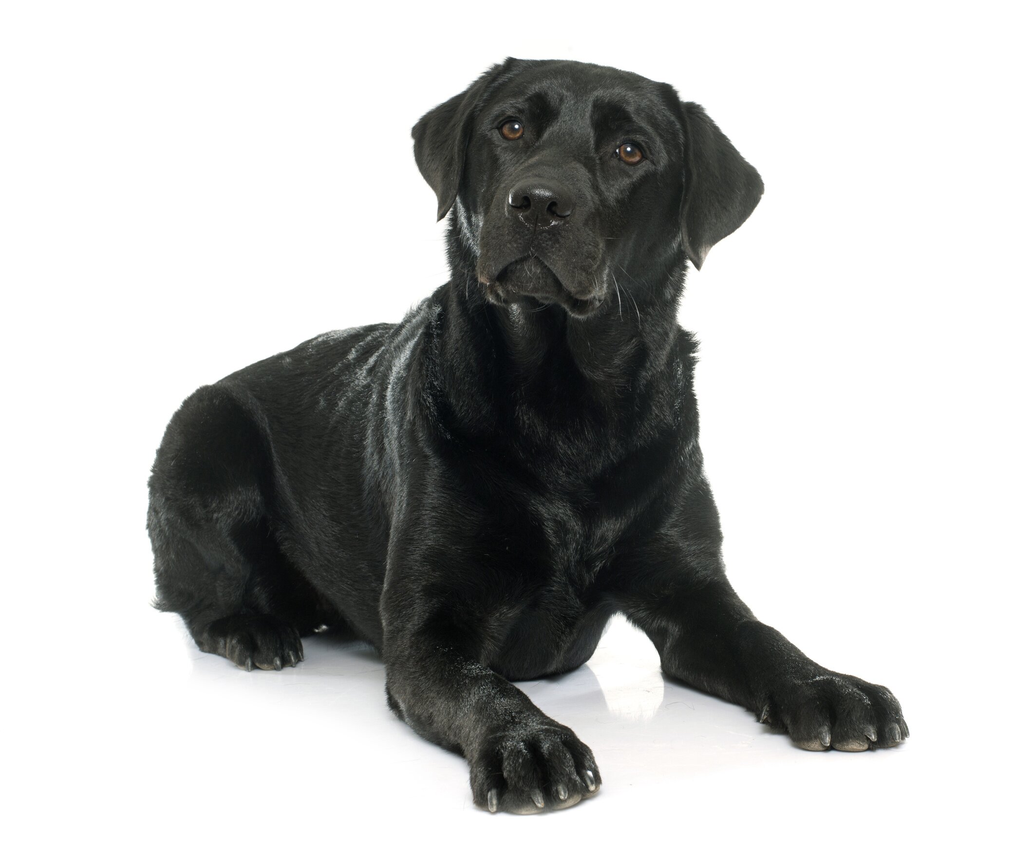 Fotolia 99922567 L